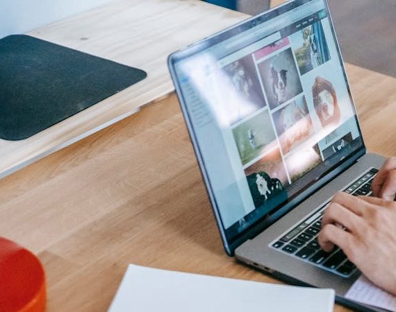 Online Business Startup Guide: From Zero to One, Launching the "Seemingly Out of Reach" Dream