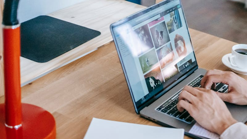 Online Business Startup Guide: From Zero to One, Launching the "Seemingly Out of Reach" Dream